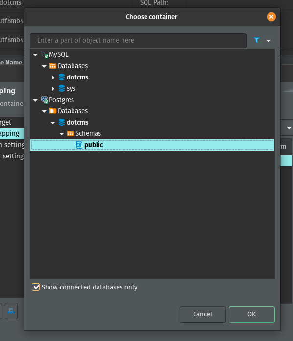 Selecting: Postgres, Databases, dotcms, schemas, public.