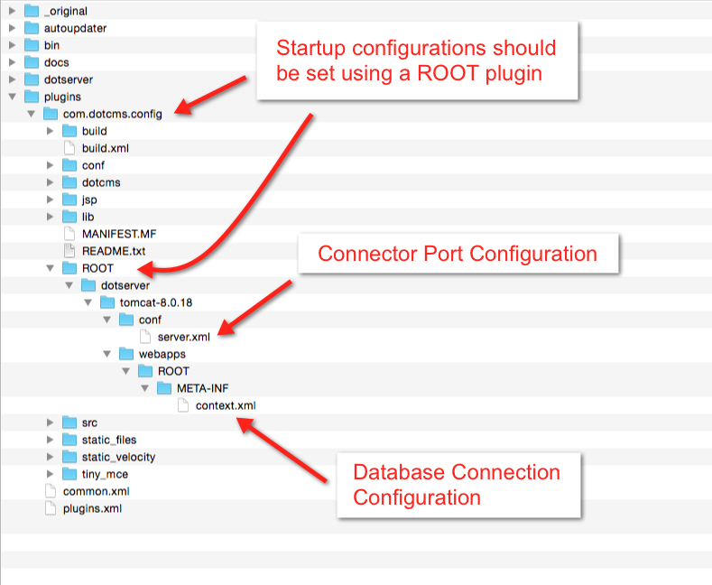 Example Directory Structure