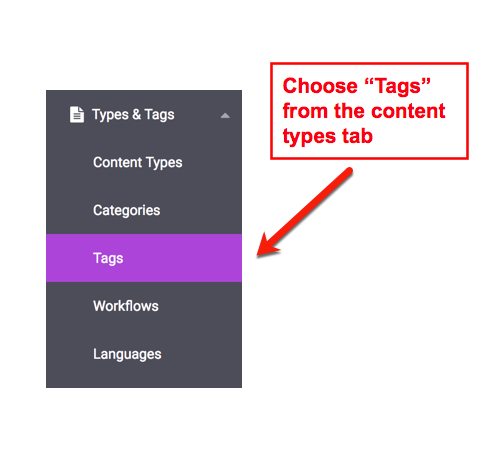 Selecting the Tag Manager